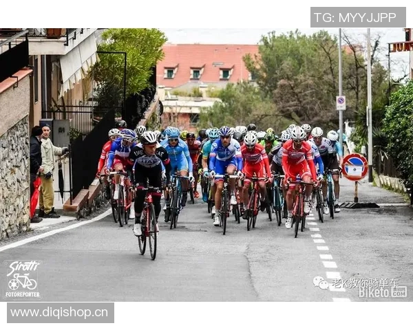 科学飞盘训练技巧与方法提升运动实力的全面指南